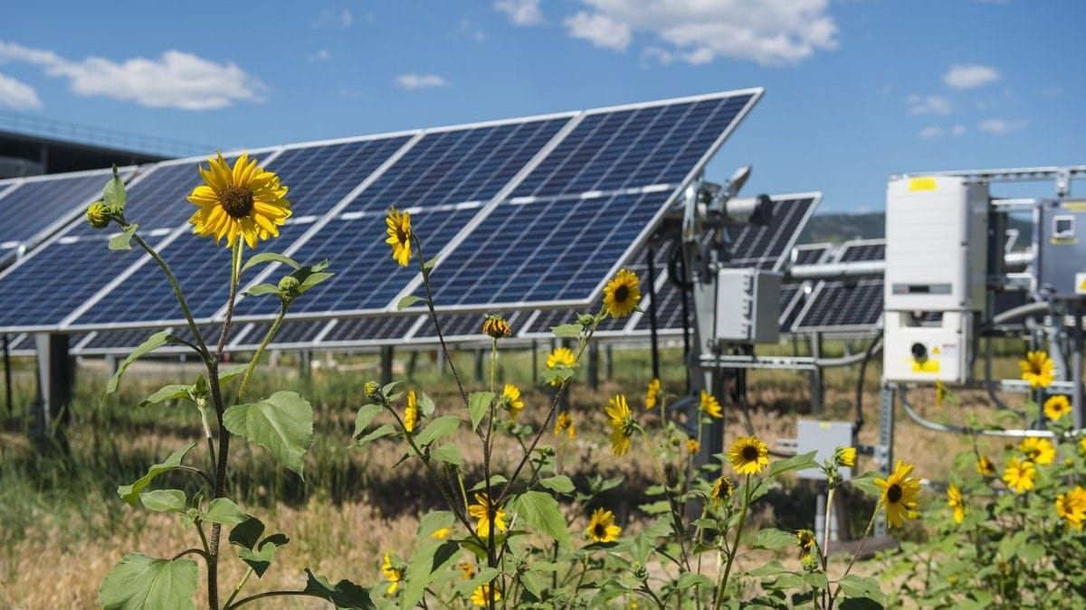 Renewable Energy Infrastructure